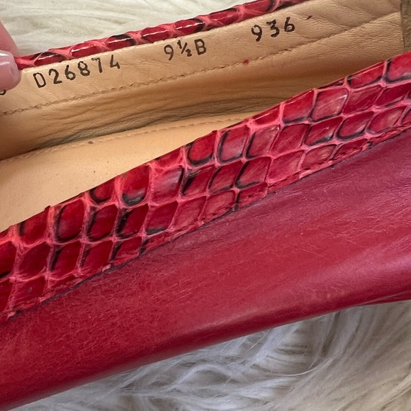 Shoes - Picture 5 of 6